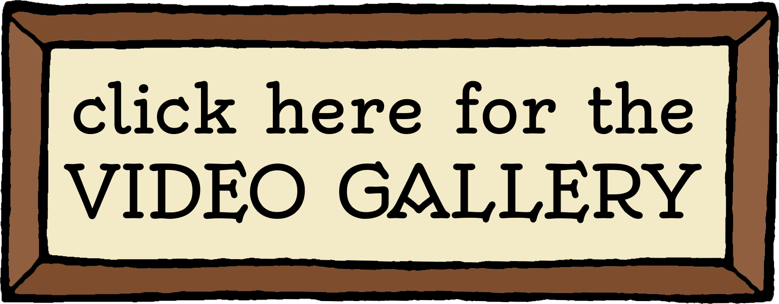 video gallery button