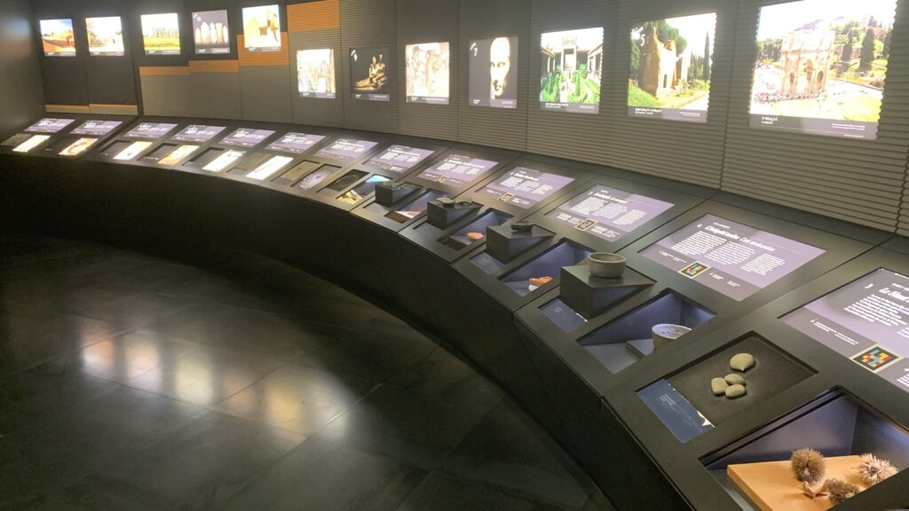 A gallery of artifacts collected from the burial site, displayed in glass cases with 3D printed replicas for interactivity.