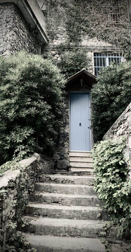 A short flight of stone steps leading up to a pale blue door surrounded by choking vegetation.