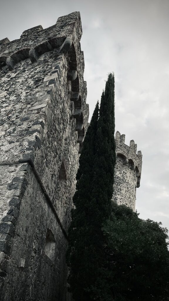 A tall dark poplar tree grows beside a medieval castle turret.