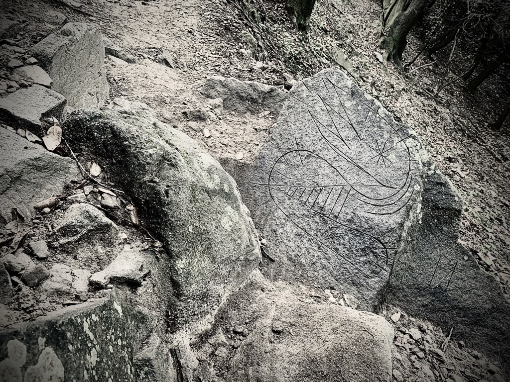 A stone lying on the ground, with a roughly etched engraving of a star-eyed serpent-like creature.