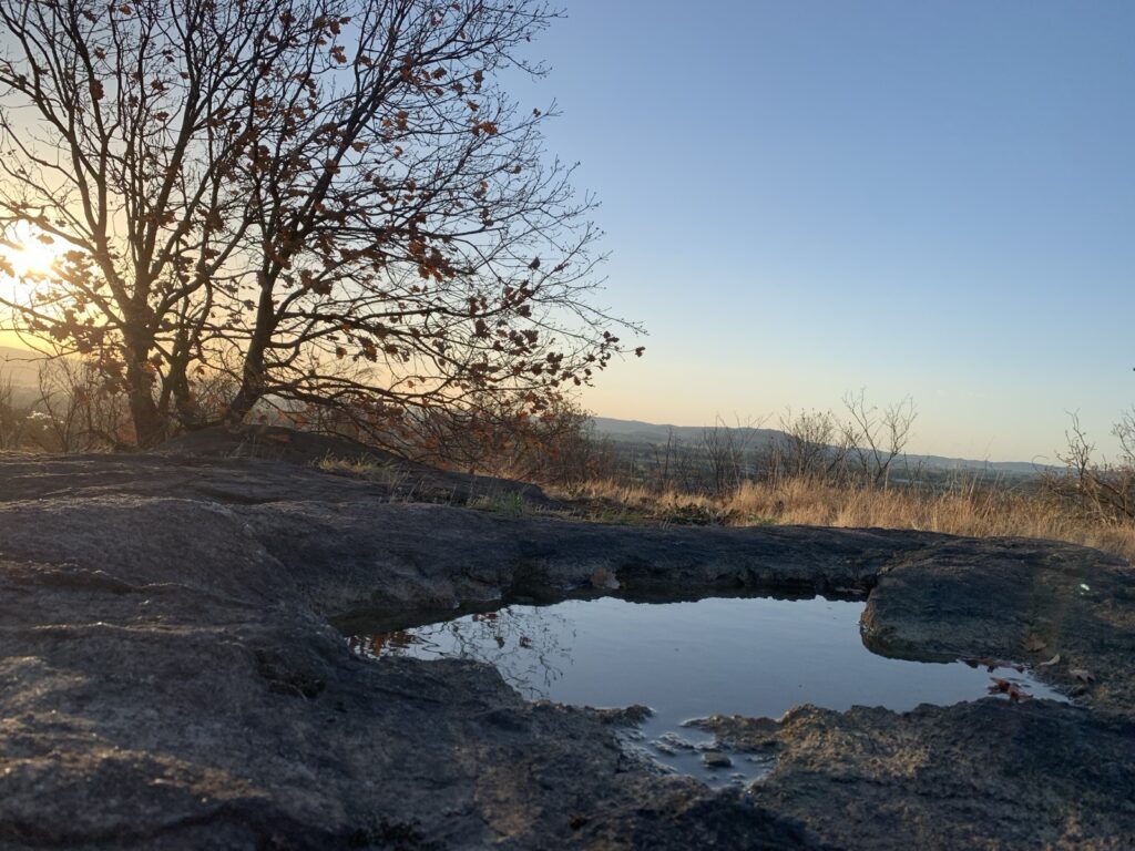 A view from the hilltop of the surrounding hills and plain under the sunrise. A pool of water in the hilltop's rocky surface at the foot of a sun-blasted tree reflects the sky.